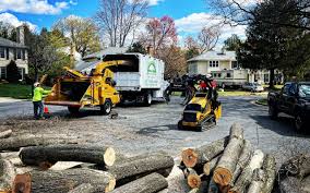Best Lawn Renovation and Restoration  in Grantley, PA