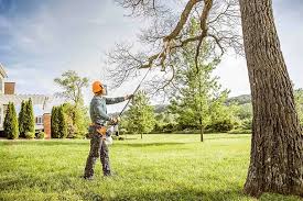 Best Lawn Watering Services  in Grantley, PA